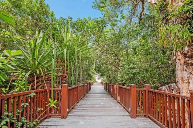 Sea Temple Path to Beach